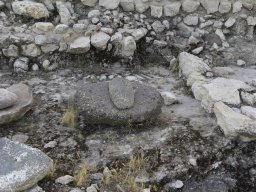 Yacimiento de la Almoloya 2023